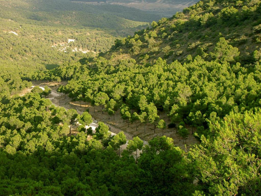 Hotel Rural Mas Fontanelles Біар Екстер'єр фото